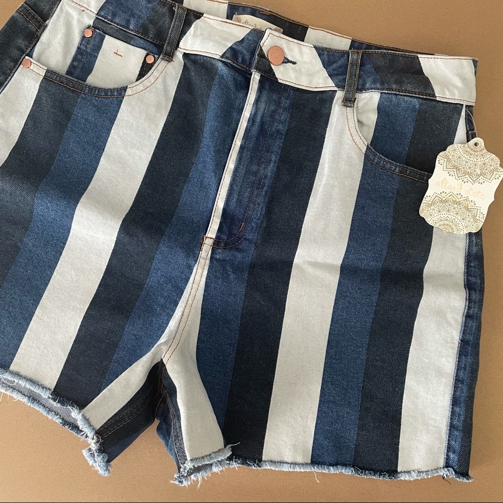 Altar’d State Striped High Waist Denim Shorts